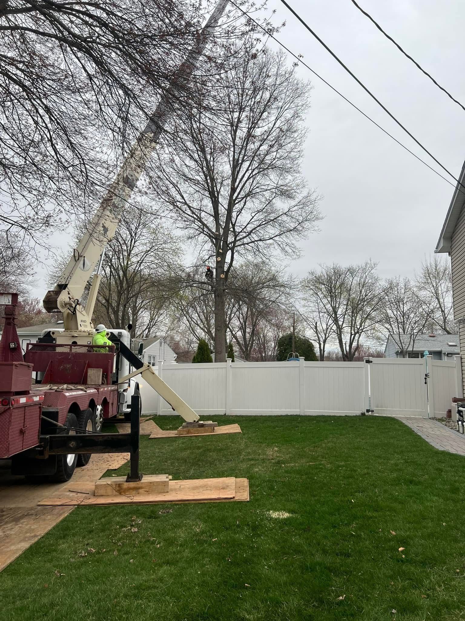 A cherry picker truck trimming a tree branch near power lines next to a white fence.