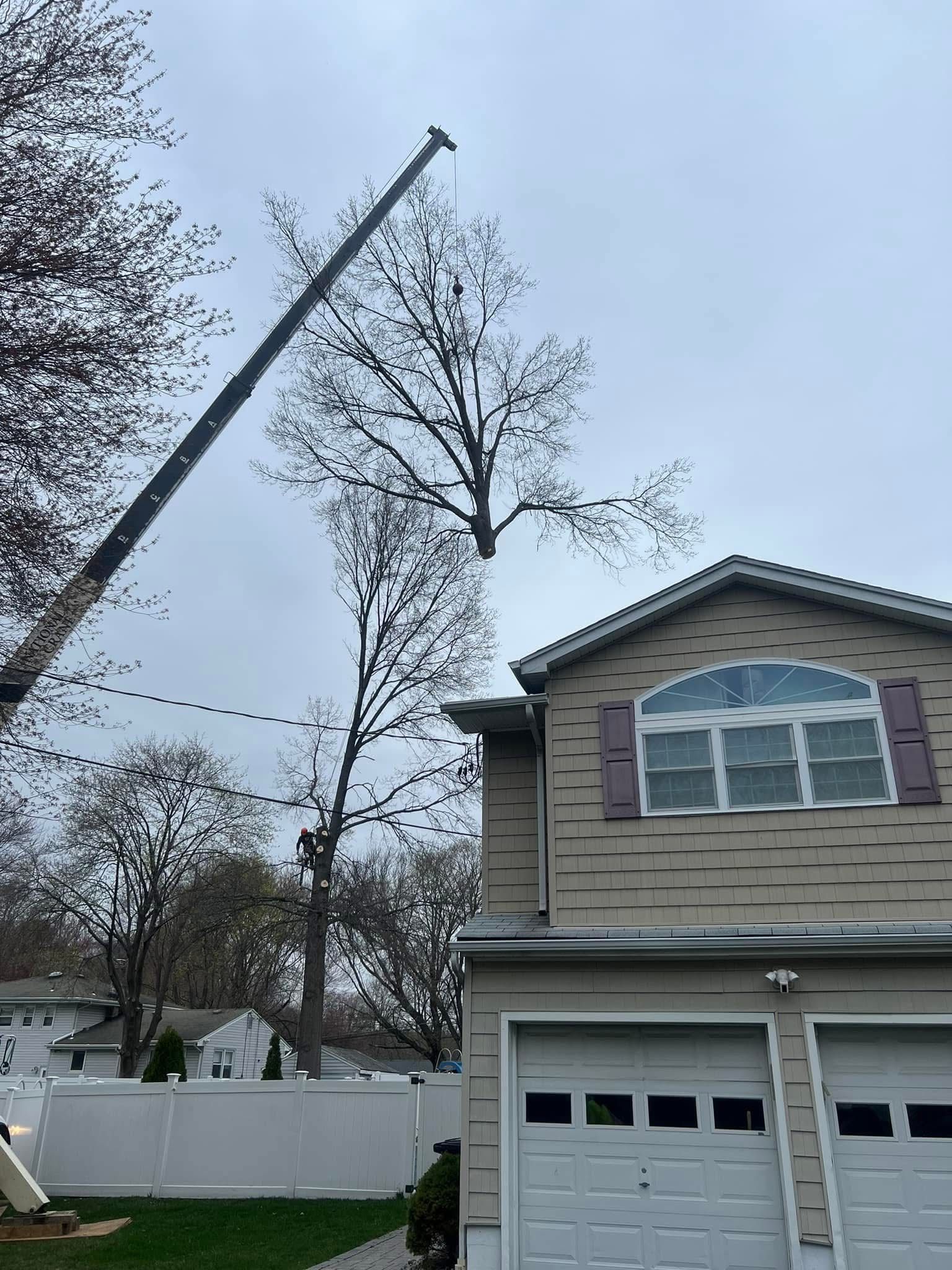 Crane trimming a tall tree next to a two-story house with a garage, under a cloudy sky.