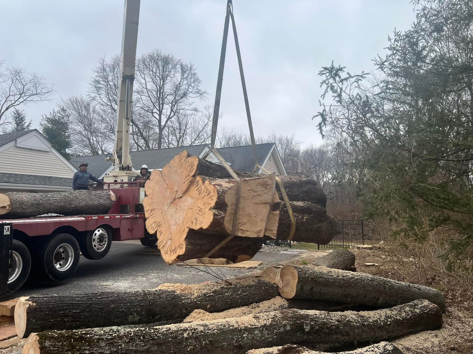 A crane lifting large tree logs. Man on truck. Wood debris on ground. Cloudy day, residential setting.