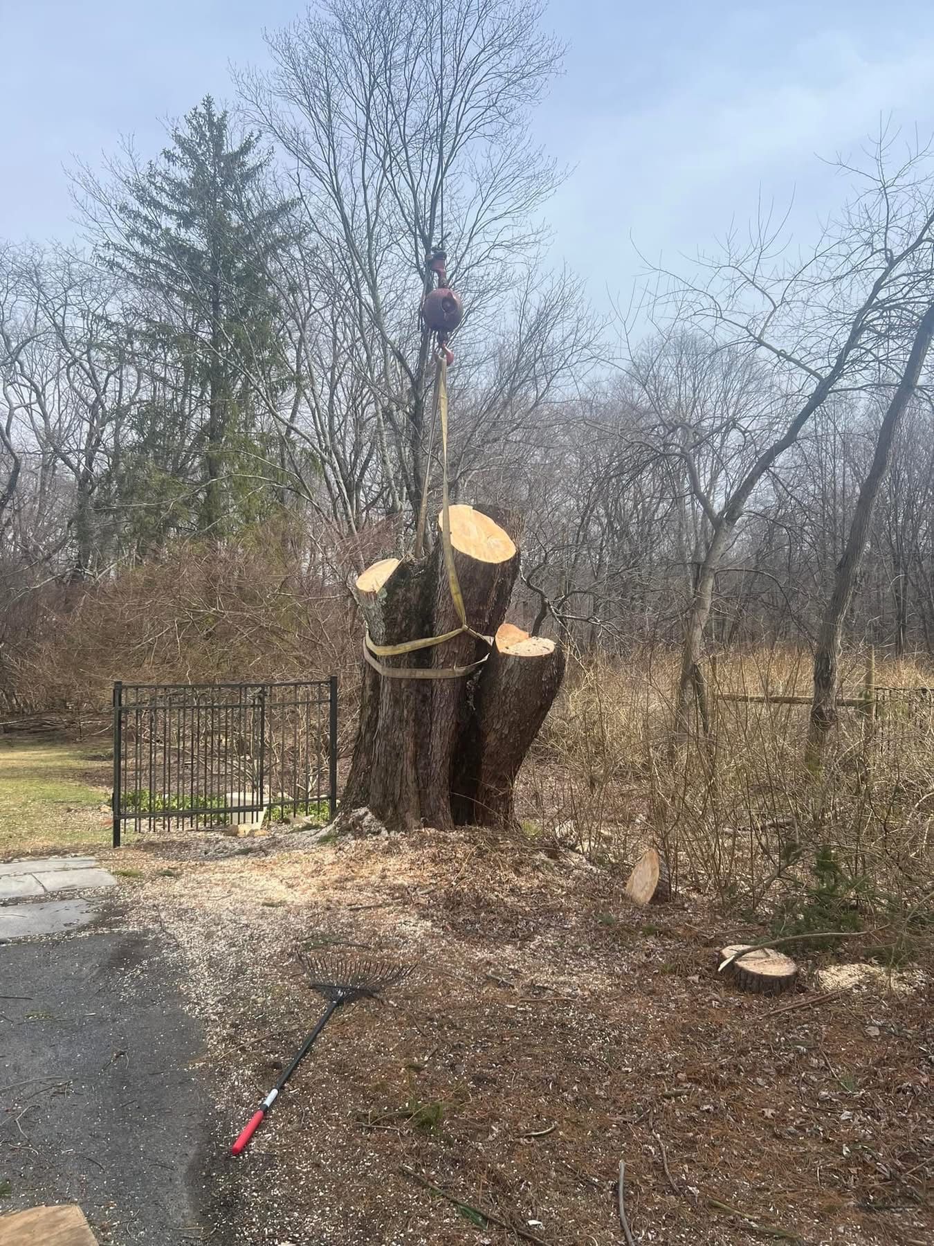 A large tree trunk section is lifted by a crane. Sawdust covers the ground.