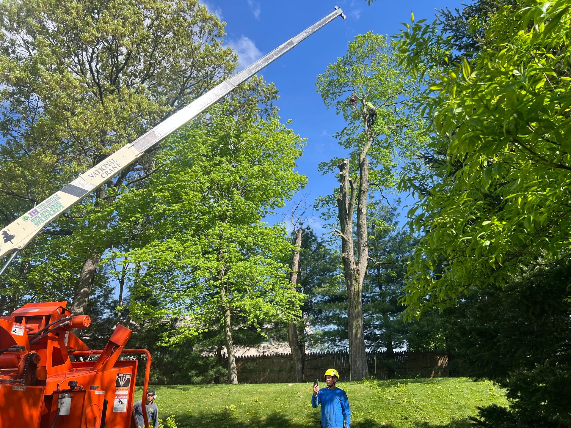 Tree service: a tree being trimmed with an aerial lift, chipper machine in view. Sunny day.