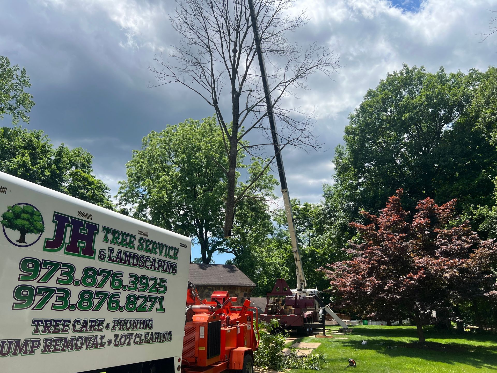Tree removal service in progress. Crane near a tall tree, wood chipper, and service truck on a lawn under a cloudy sky.