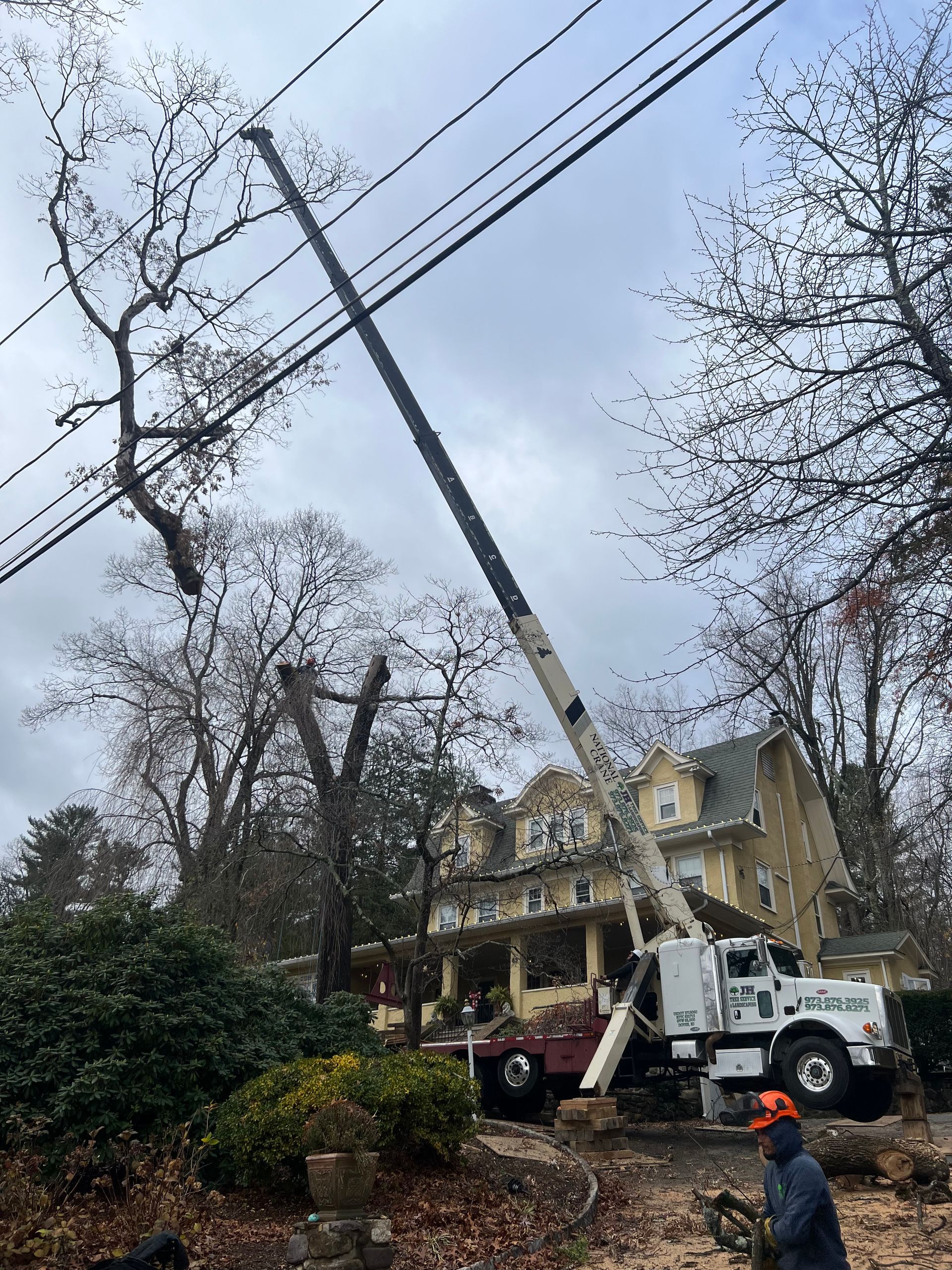 A crane trimming a tree near power lines and a large house on a cloudy day.