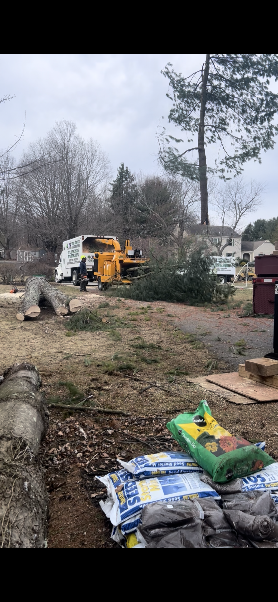 Tree removal in progress; a wood chipper processes branches on a cloudy day. Bags of soil sit nearby.