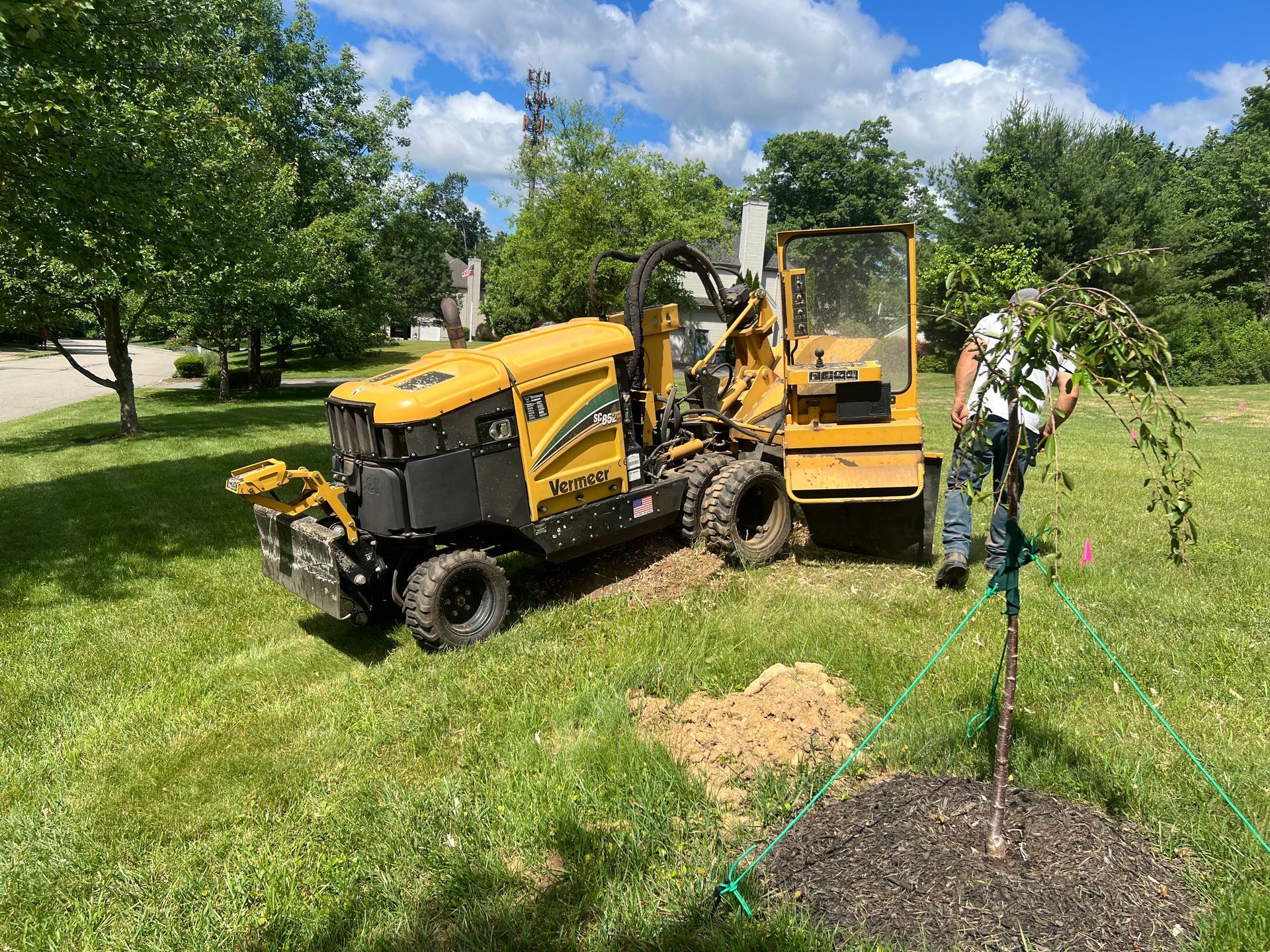 Yellow stump grinder near a newly planted tree on a grassy lawn. Man tending tree. Blue sky.