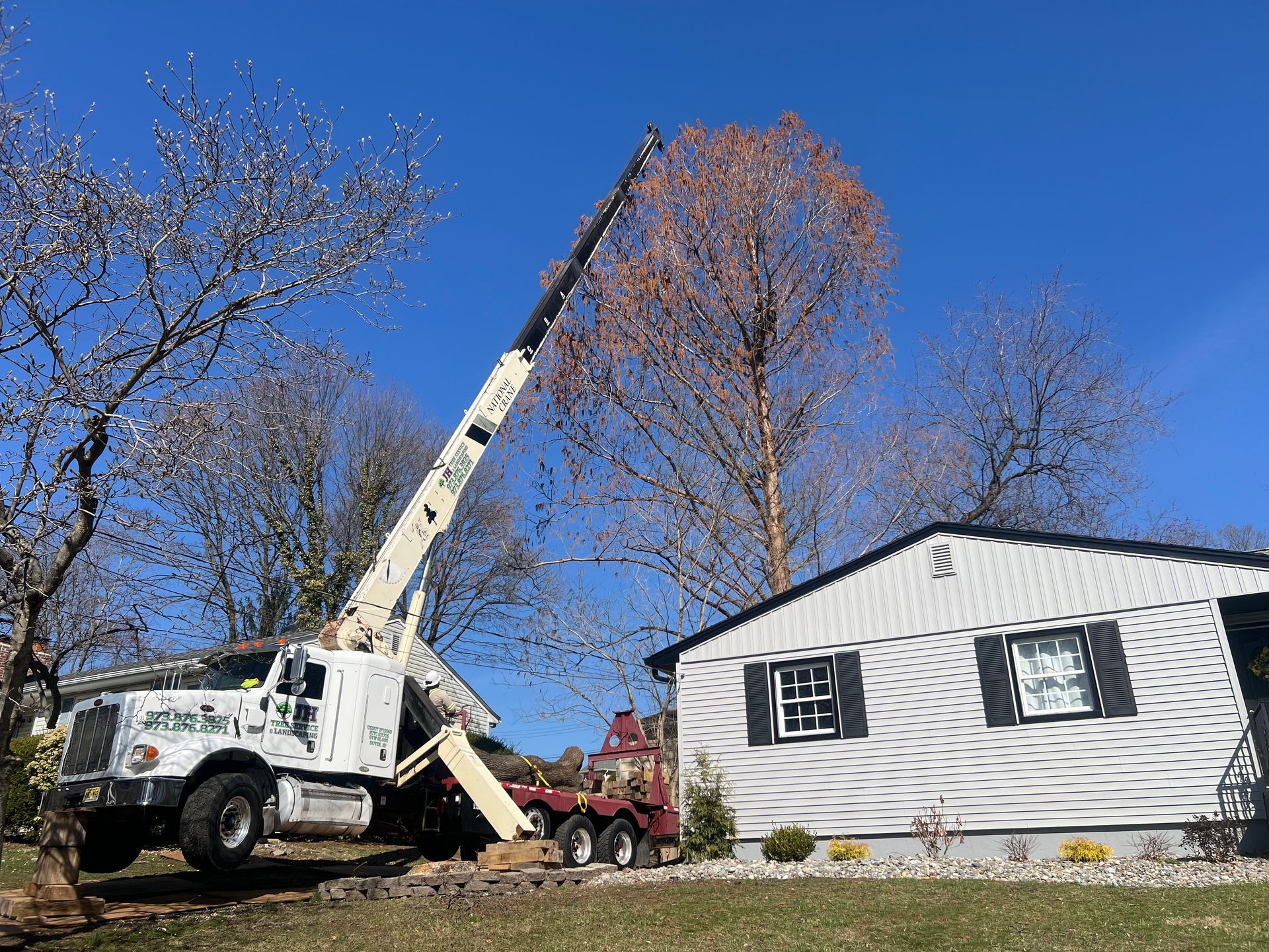 A crane removing a tree next to a white house under a clear blue sky.