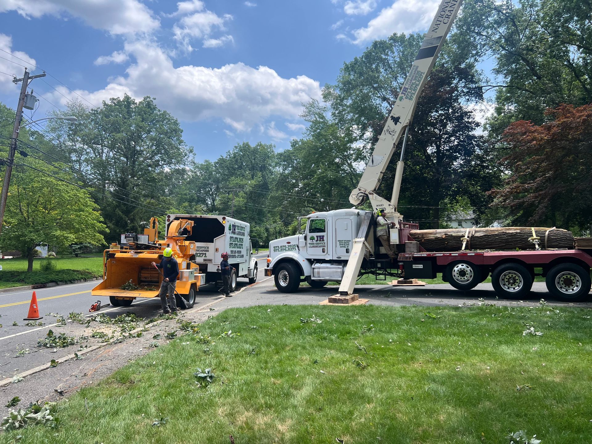 Tree service trucks and chipper on a road, debris on the ground, trees in the background, blue sky.