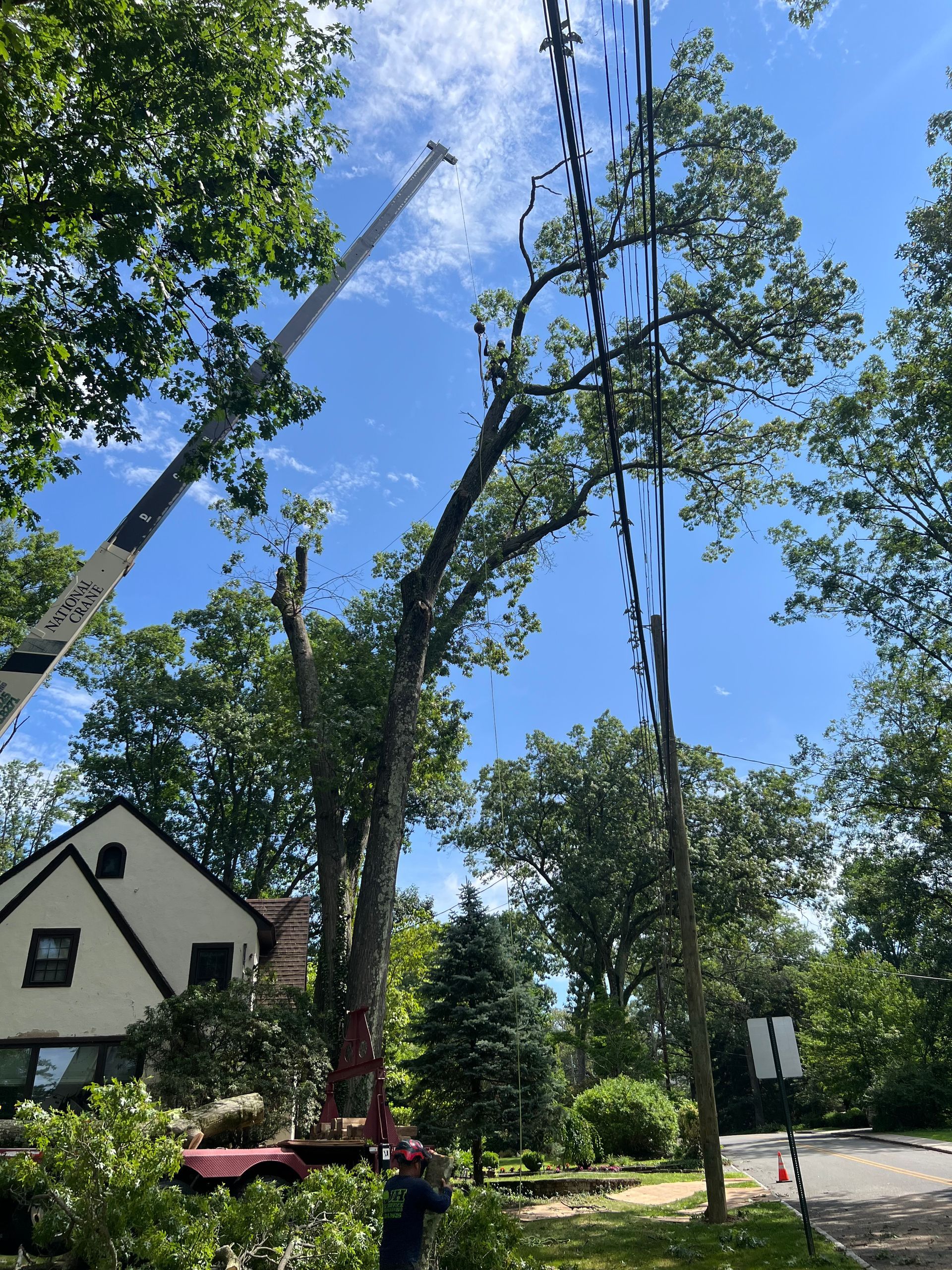 Tree being trimmed near power lines with crane, residential setting, sunny sky.