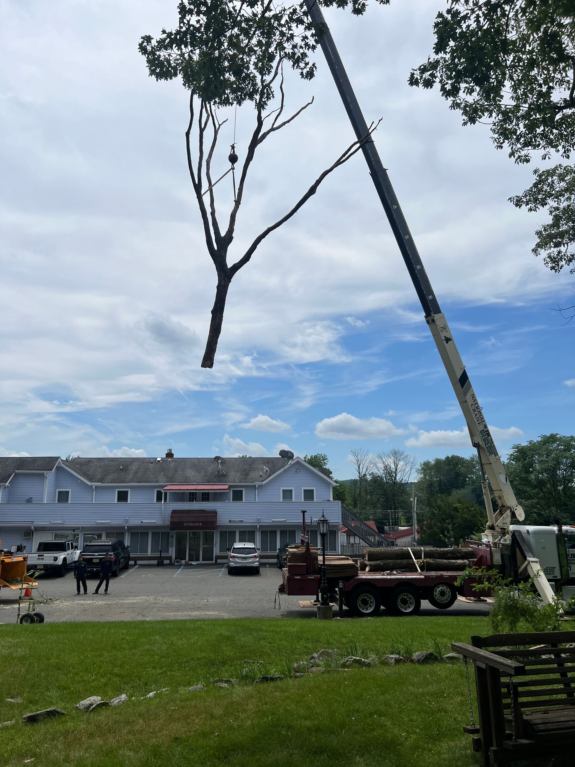 A crane holding a tree branch near a light-colored building under a cloudy sky.