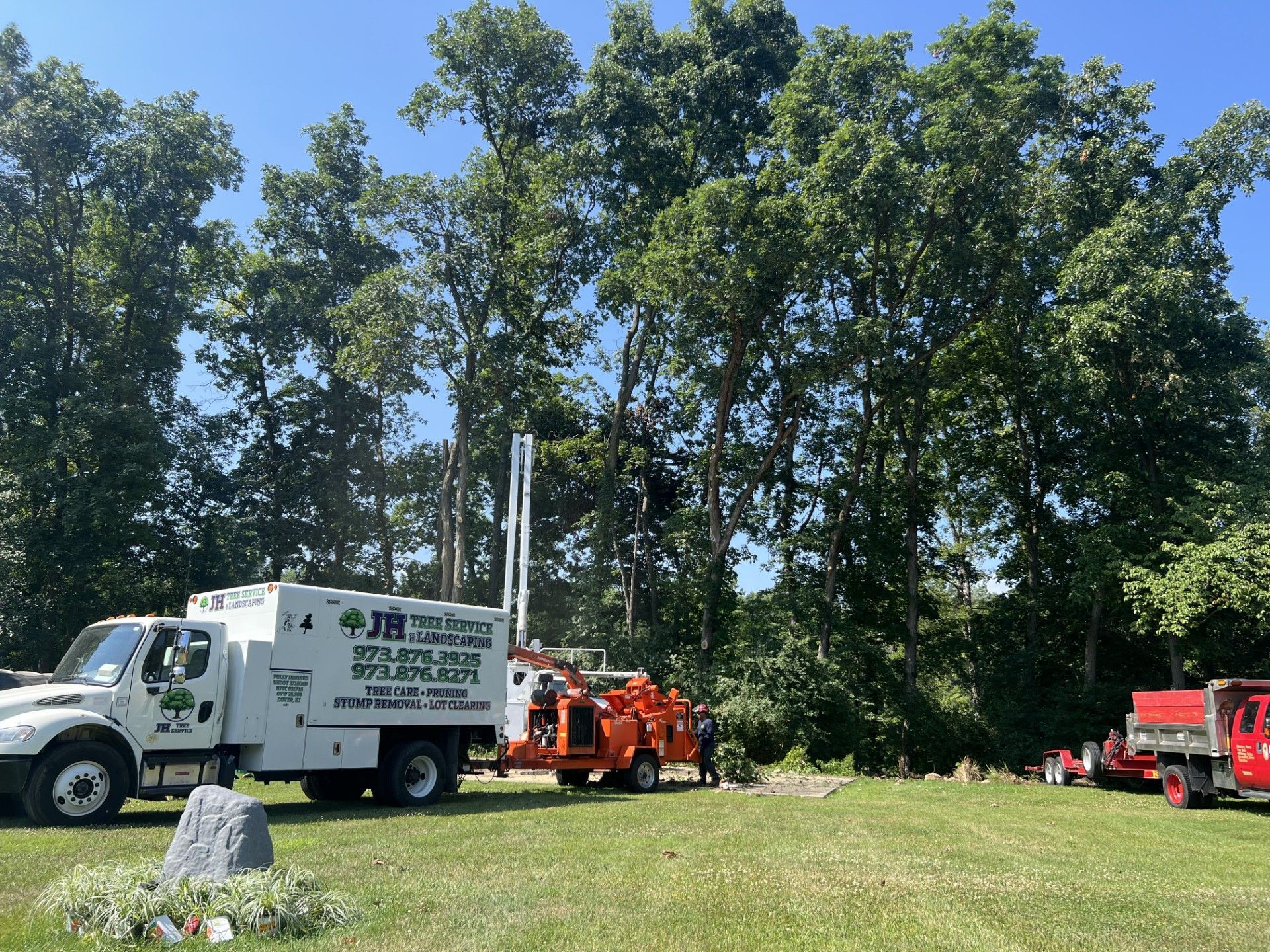 Tree removal equipment and trucks on grass near trees; sunny day.