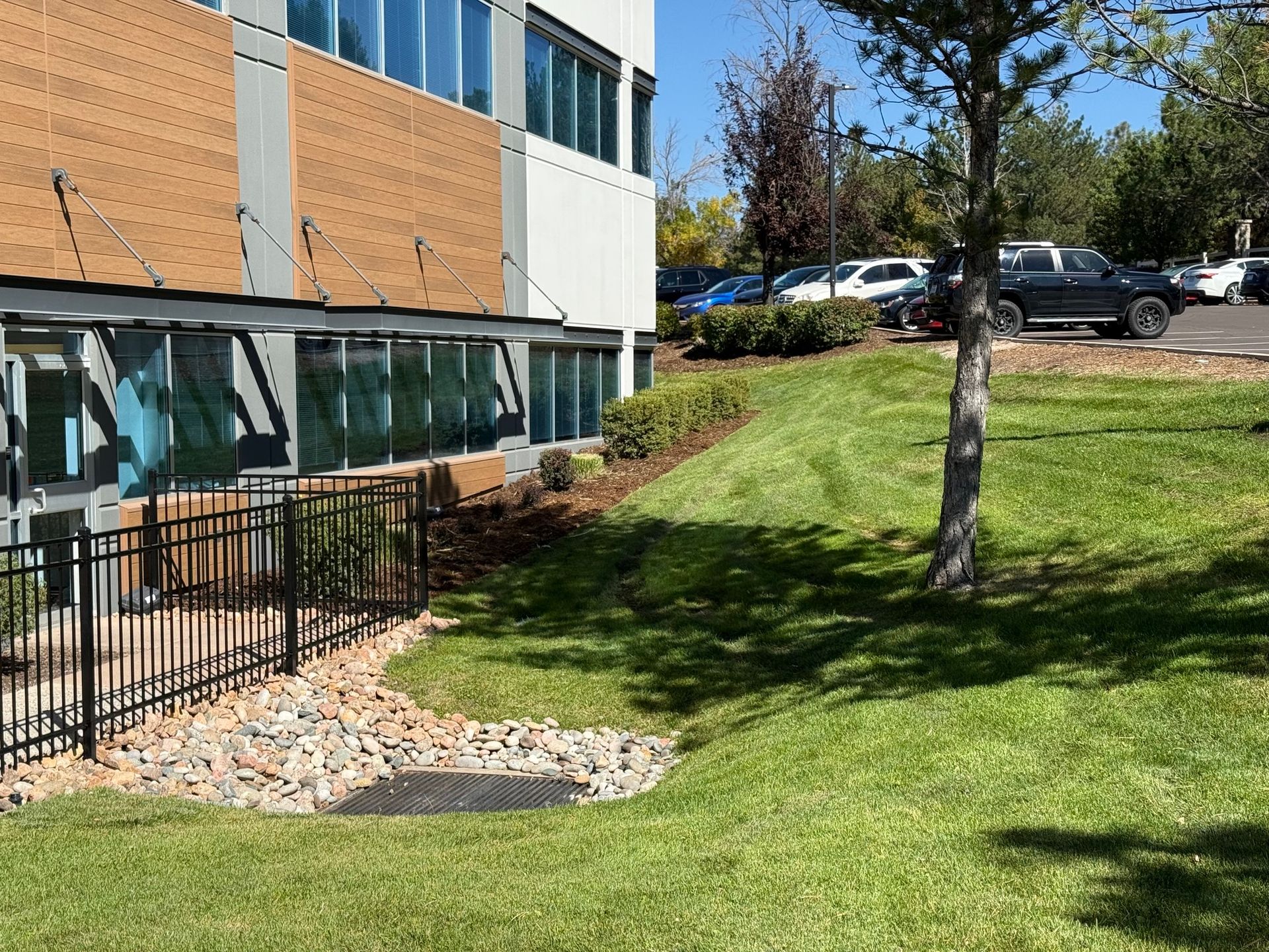 Exterior view of a building with a sloped grassy area, a tree, and a small rock-lined drainage feature.