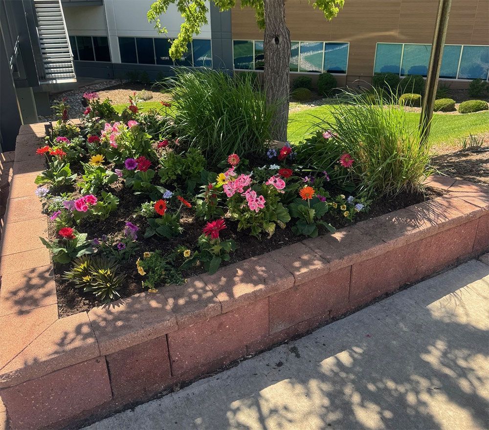 Flower bed around a tree with pink, orange, and yellow flowers bordered by red brick. Located outdoors in front of a building.