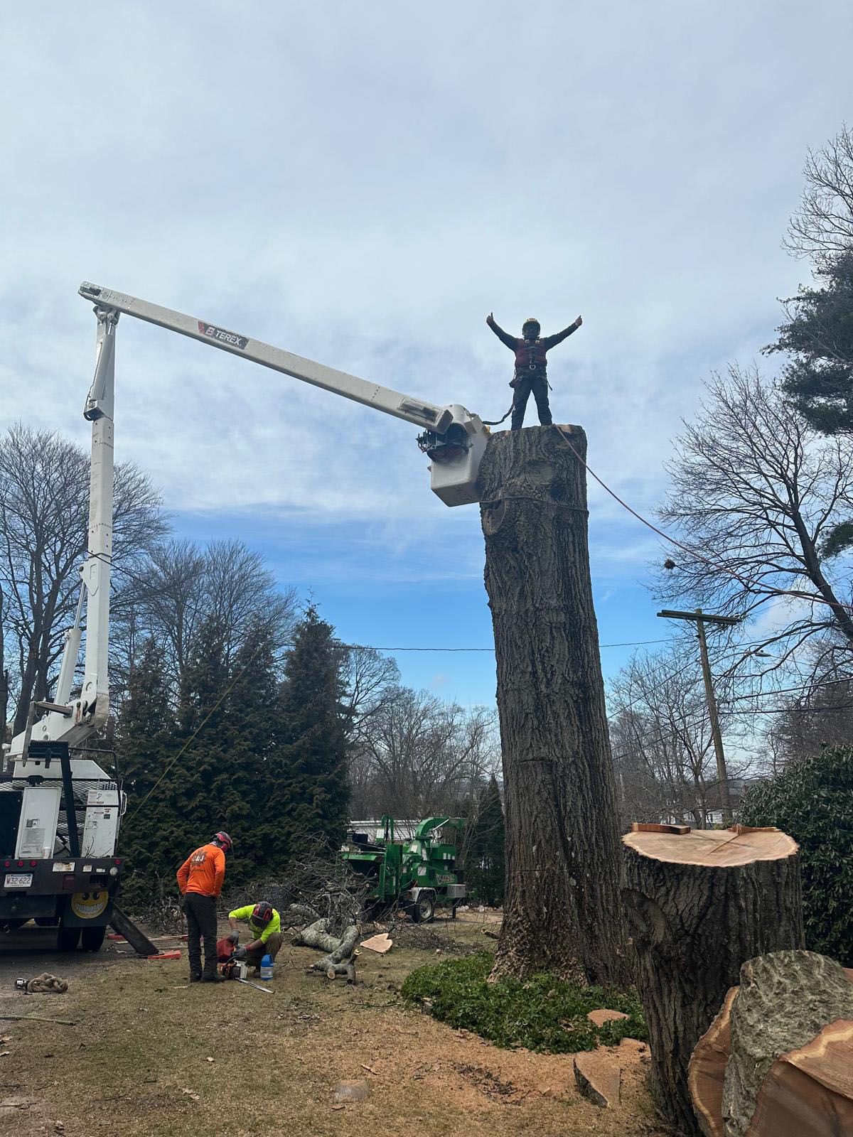 Man standing on top of a tree
