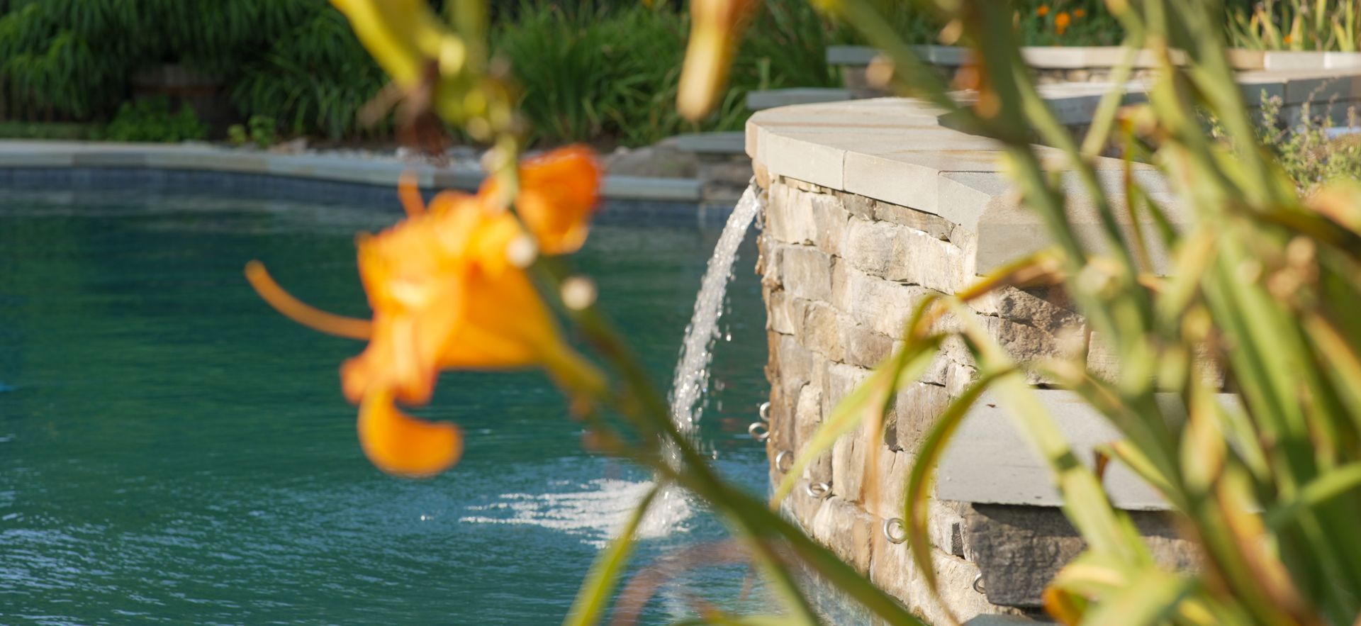 An orange flower in the foreground with a blurred pool and water feature in the background.