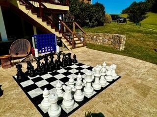 Giant chess board