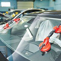 Wizards & Waterfowl Auto Glass