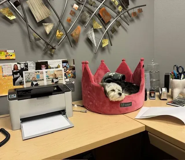 A small dog rests in a pink crown-shaped bed on a desk, next to a printer and office supplies.