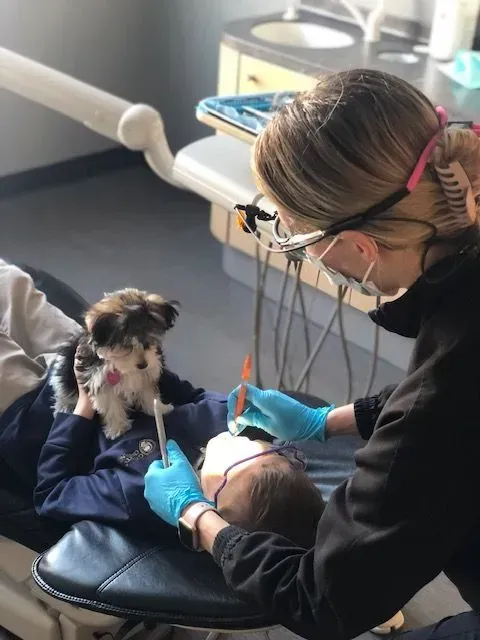Dog assists dentist during procedure. Dentist in gloves and visor; child in chair; small dog looks on.