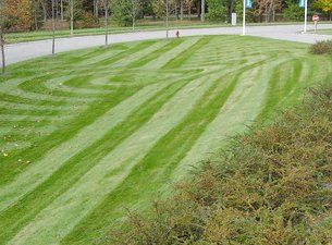 Learn More About Landscape Maintenance Newly mowed lawn
