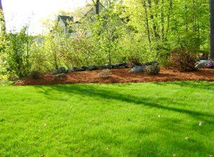Learn More About Landscape Installation Landscape
