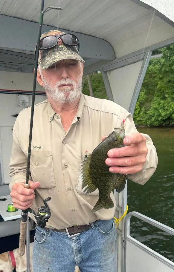 A man is holding a fish and a fishing rod on a boat.