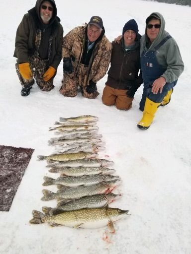 Four people kneeling in the snow with a row of fish