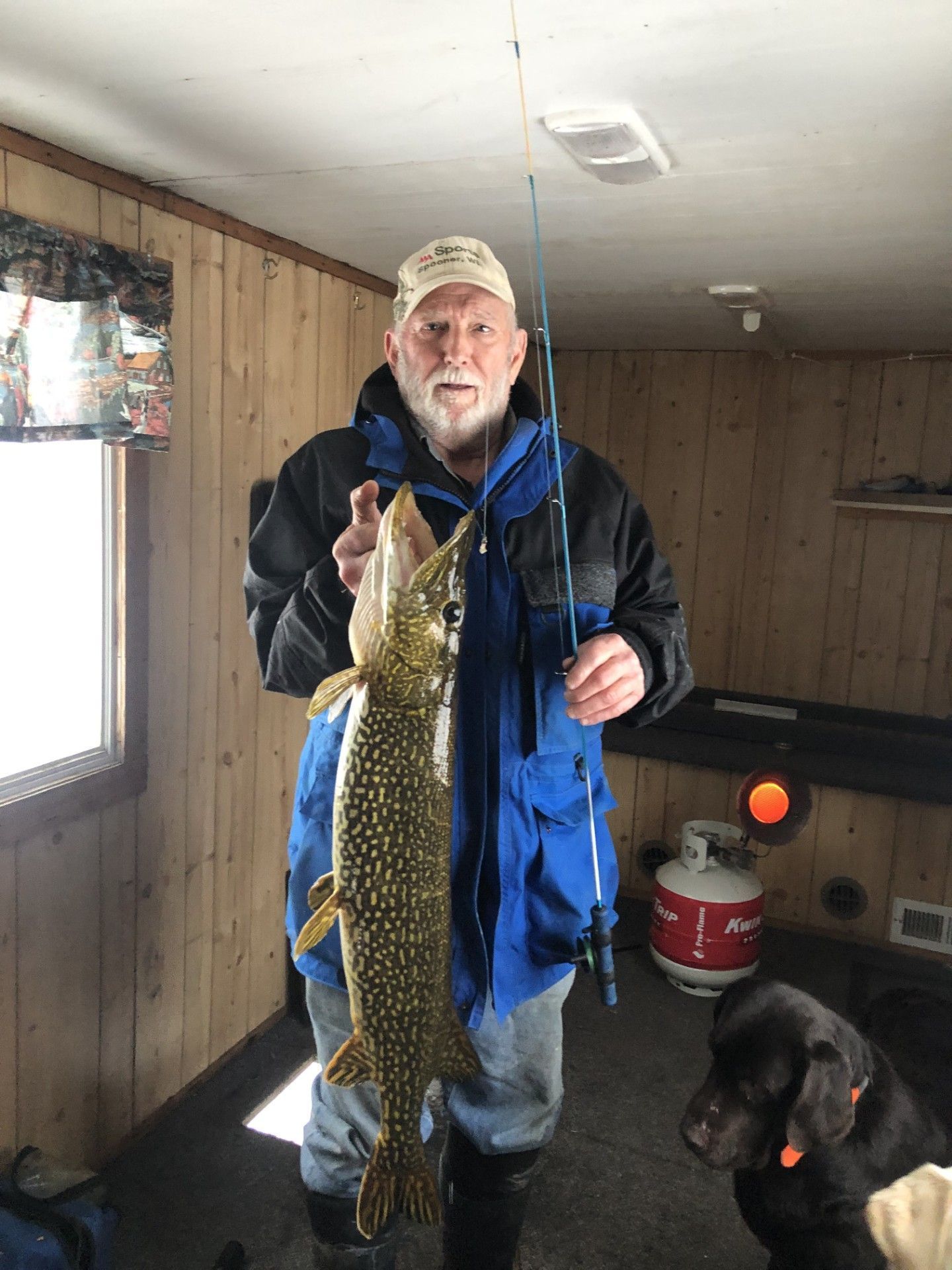 Man ice fishing, holding a large fish inside a shelter
