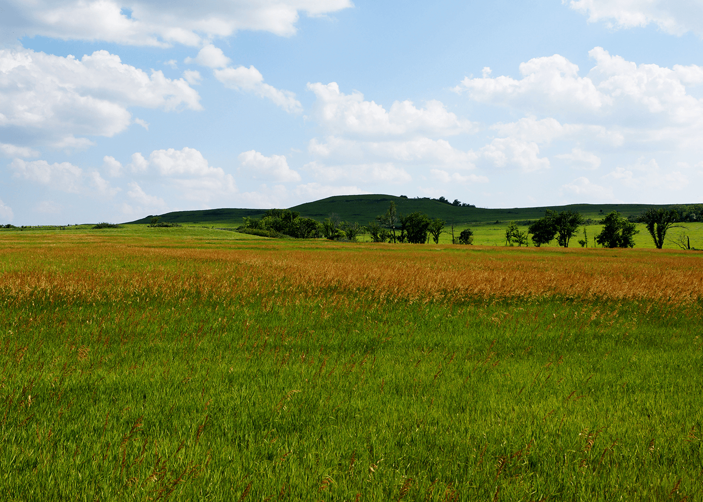 Sisson Real Estate Realtors Hope, AR