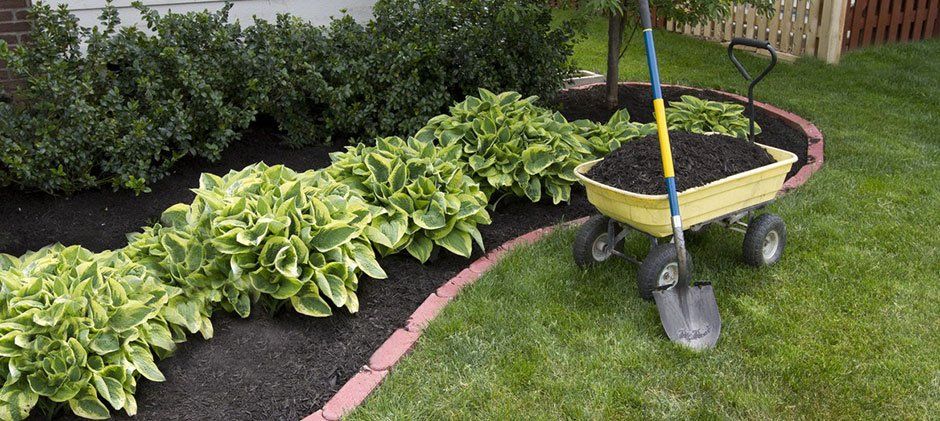 Mulching and Edging Services
