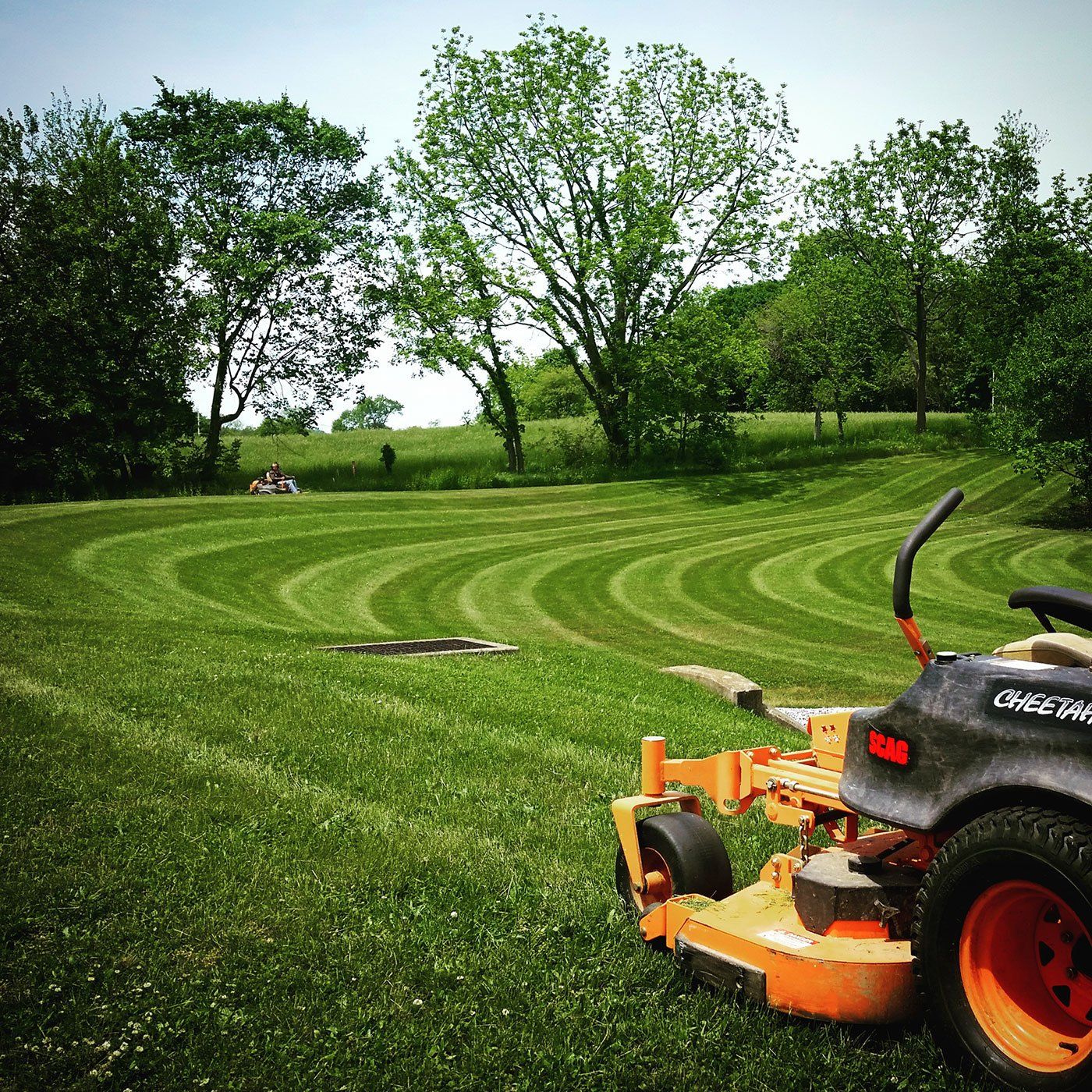 Lawn Mowing