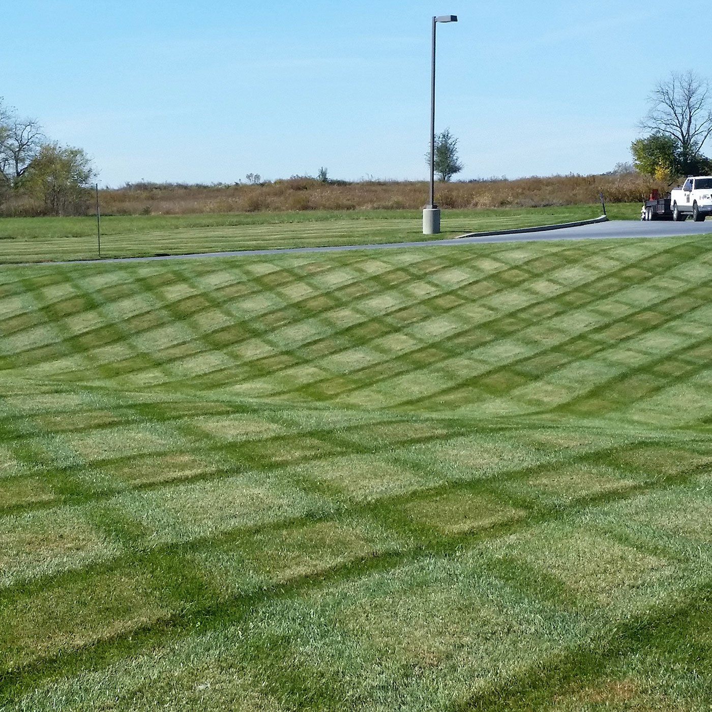 Lawn Maintenance