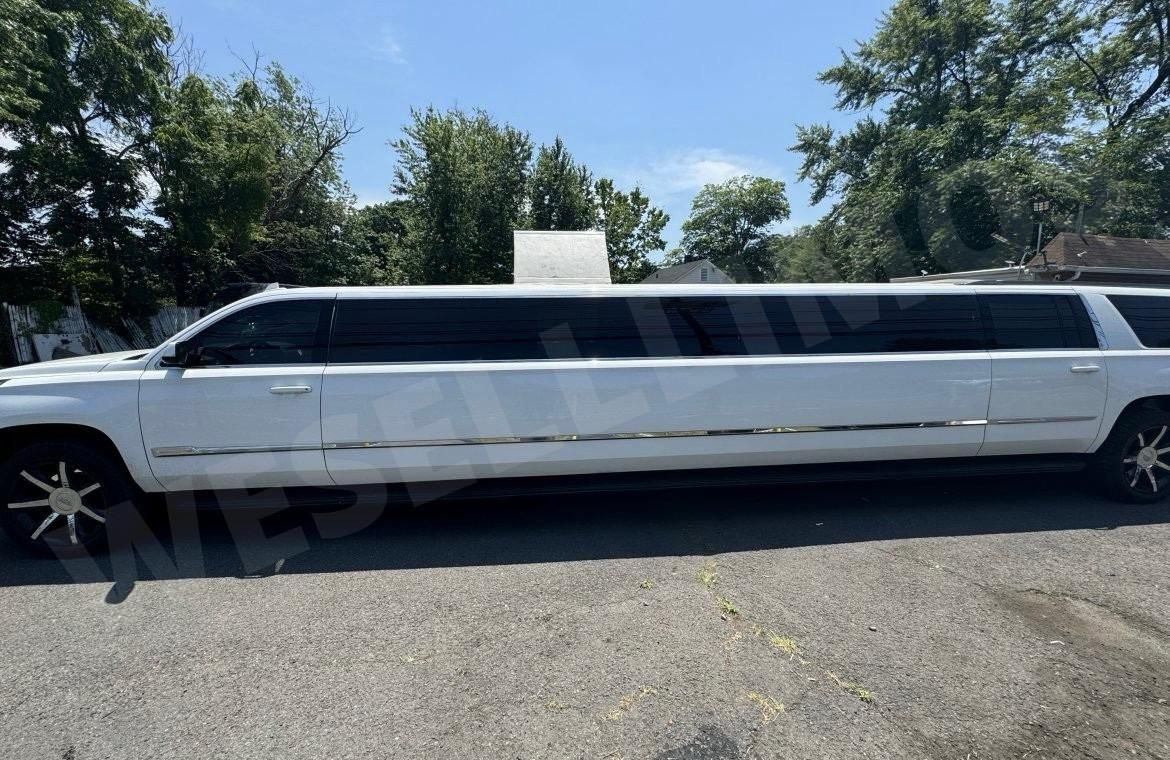 White limousine parked on a paved road, trees in the background.