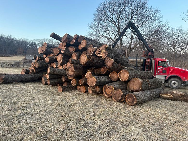 Luft Logging