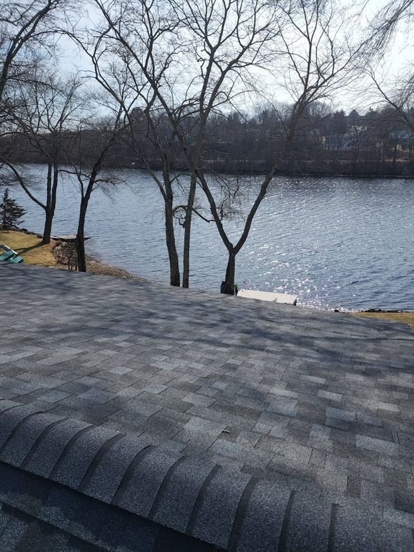 Lake view with bare trees and gray roof shingles in the foreground