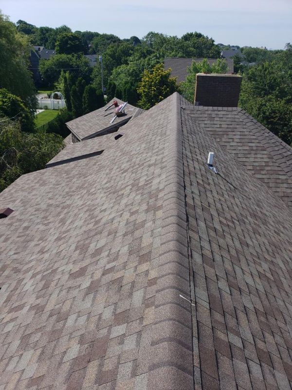 View over a shingled rooftop with chimneys, overlooking trees under a clear sky