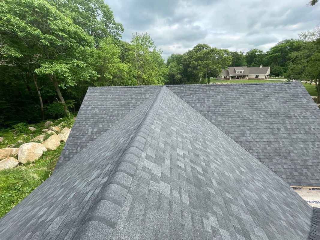 Gray shingled roof with a central ridge, surrounded by green trees under a cloudy sky.