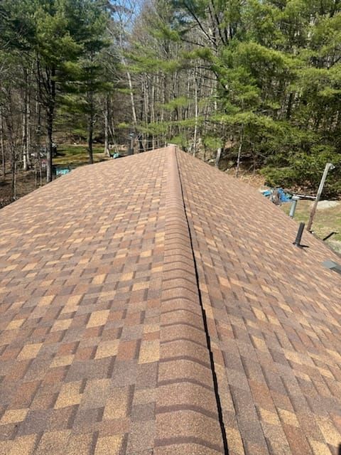 Shingled roof ridge with brown and tan shingles, surrounded by trees and a wooded yard