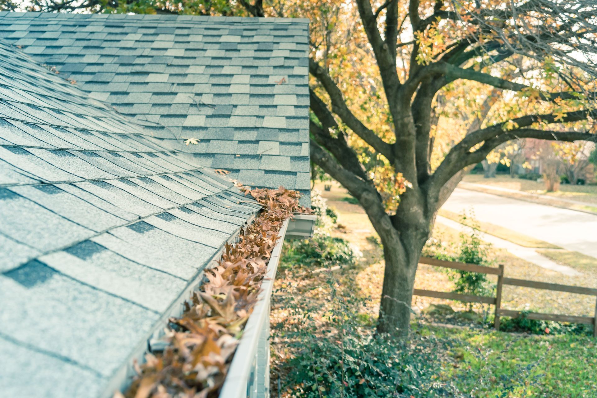 Roof with a gutter full of fallen leaves, next to a tree, a wooden fence, and a street.