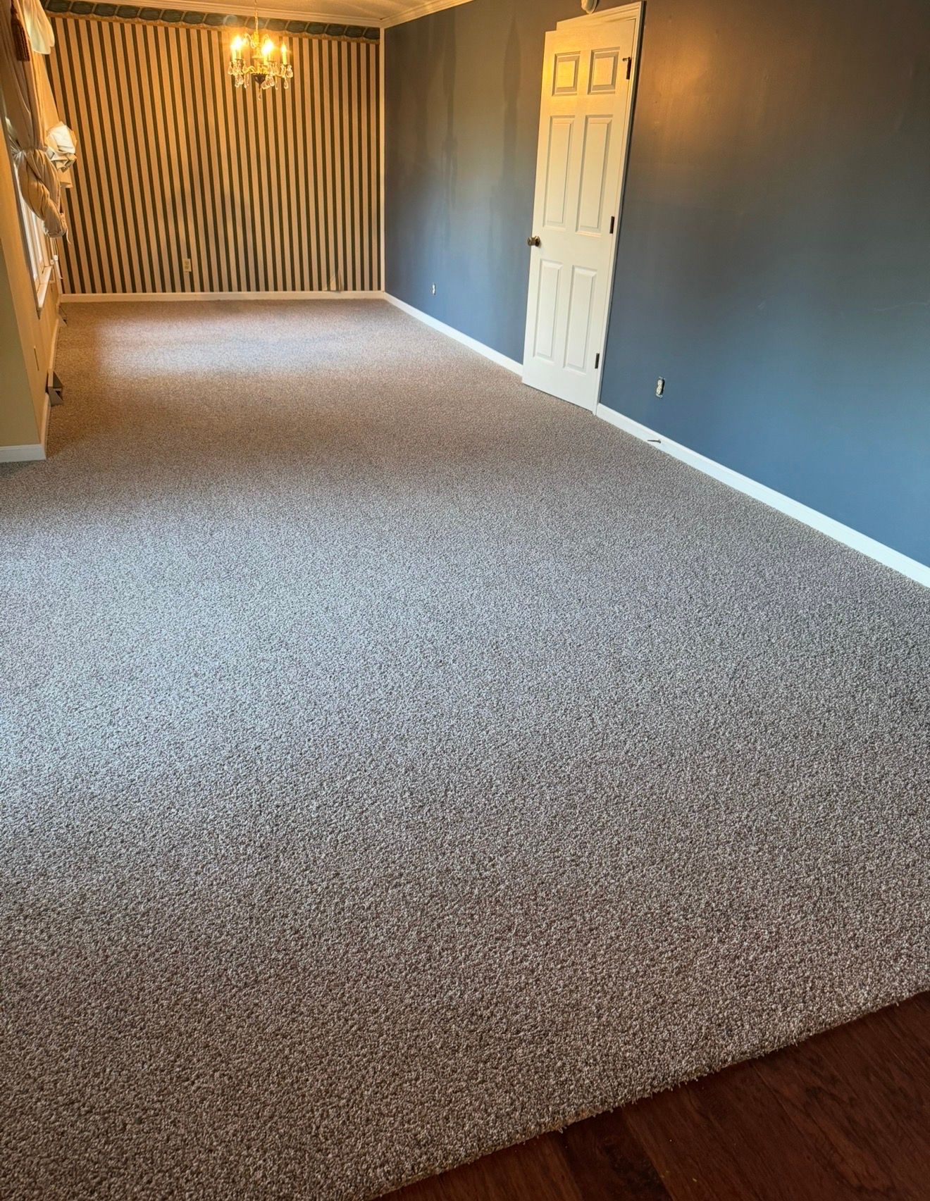 Empty carpeted living room with dark walls, white door, and striped feature wall at the far end.