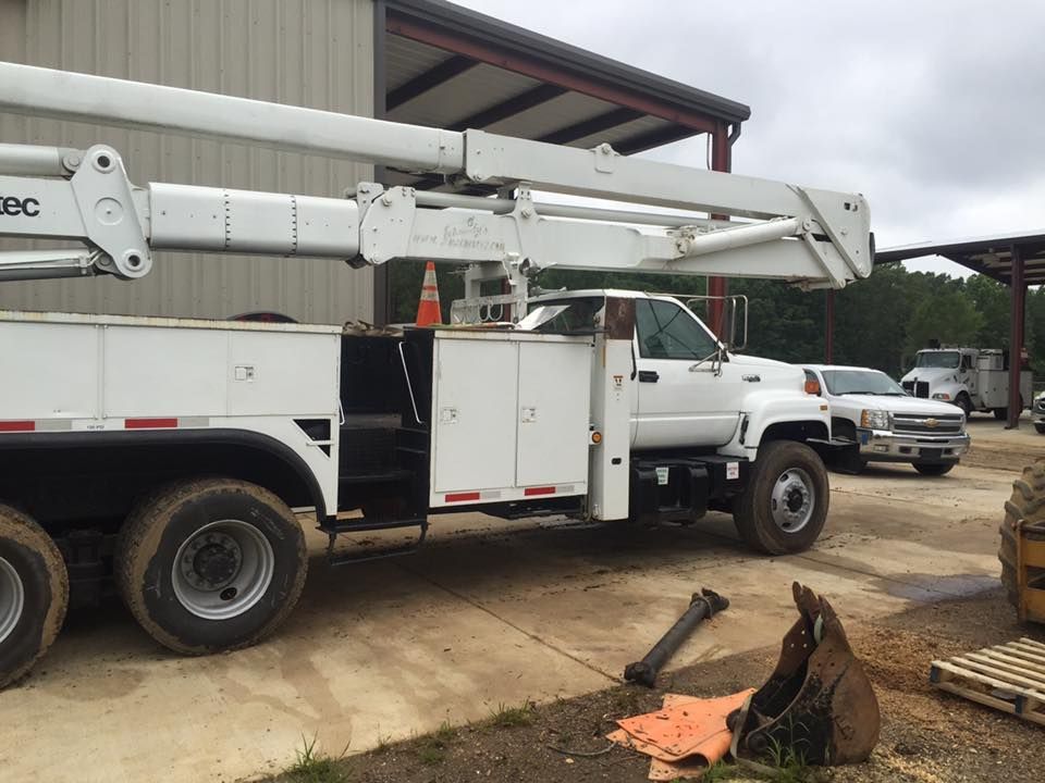 Tree crane service