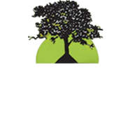 Denson Tree Service logo