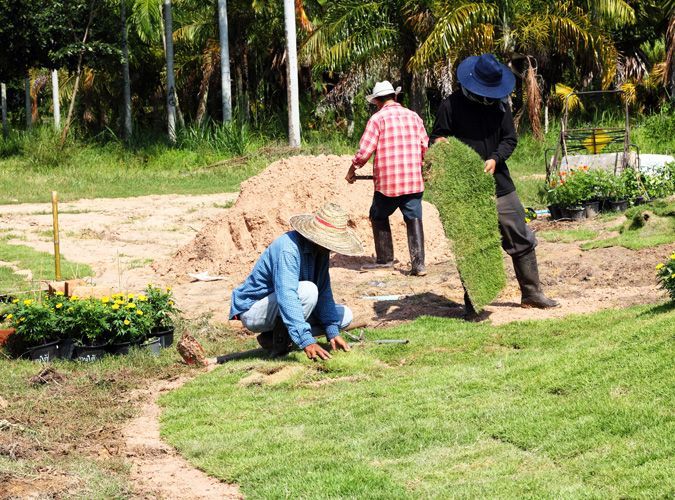 Man repairing the yard