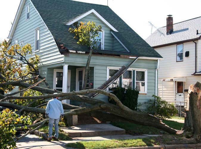 Tree collapse from the storm