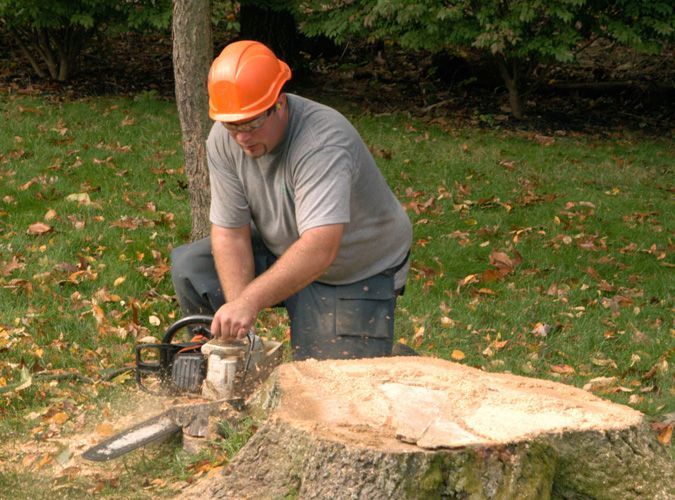 Stump removal