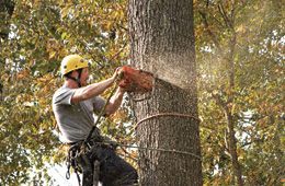 Man cutting wood