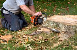 Man removing stump