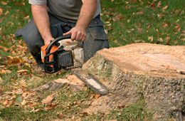 Man cutting stump