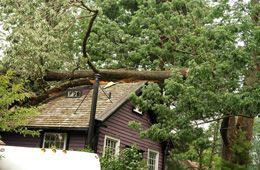 Tree collapse on the house