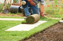 Man laying sod