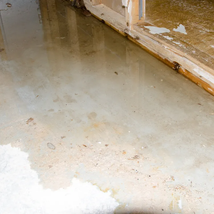 Water pooling on a concrete basement floor next to wooden wall framing, indicating structural flood damage.